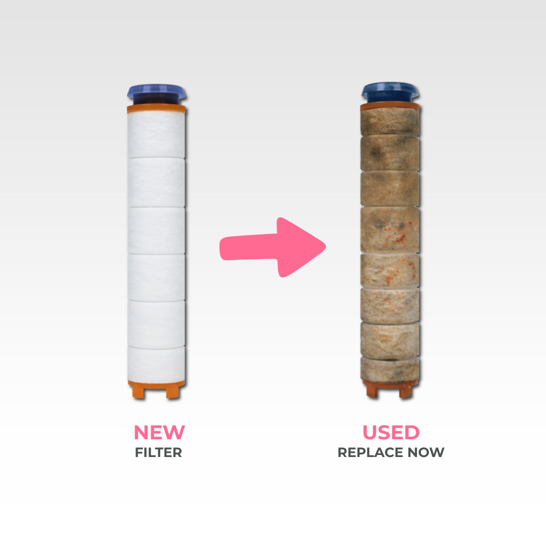 Ecolux™ Pro Filtered Shower head Replacement Filters (5-Pack)