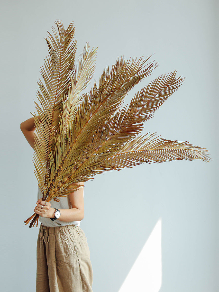 Natural Dried Fructose Dragon Blood Palm Fan Leaves for Boho Wedding & Home Décor