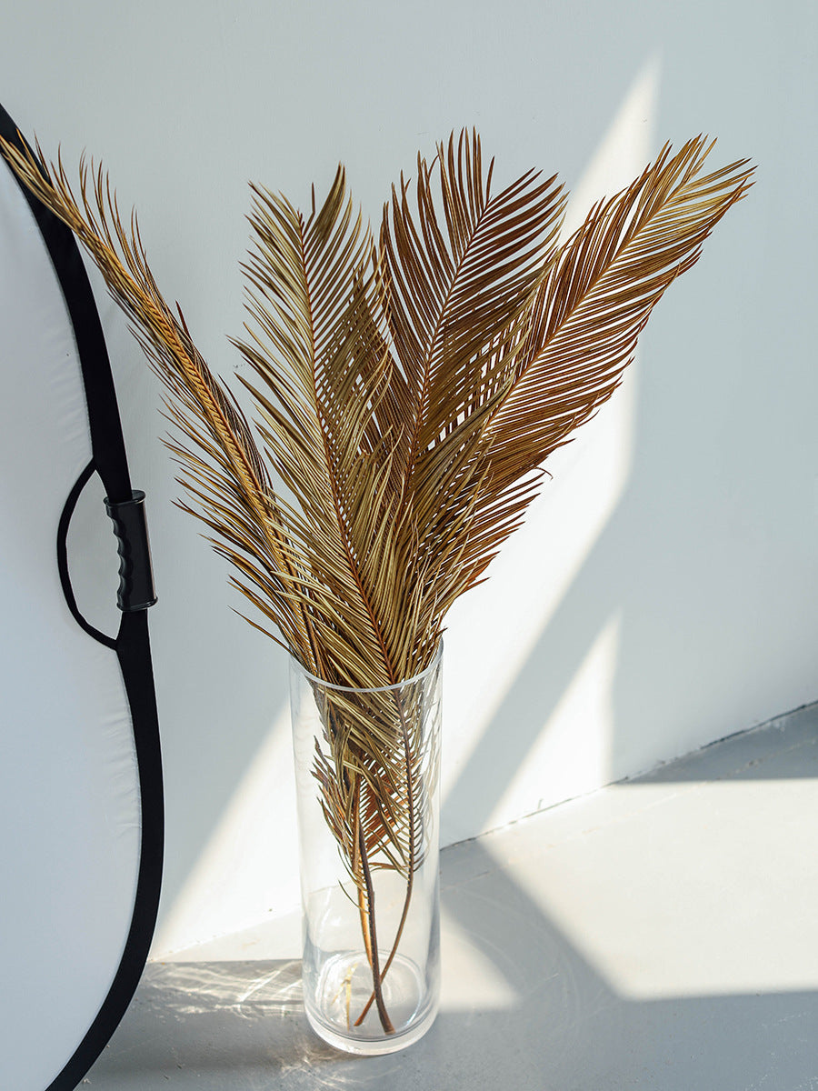 Natural Dried Fructose Dragon Blood Palm Fan Leaves – Boho Wedding & Home Décor