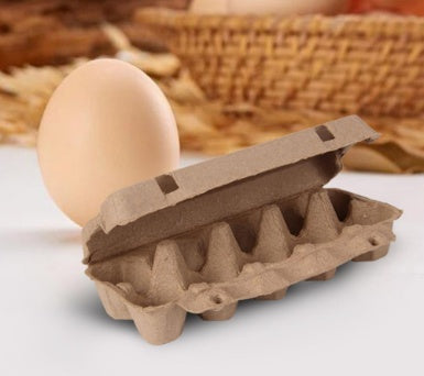 Eco-Friendly Egg Carton - Sustainable, Biodegradable Packaging