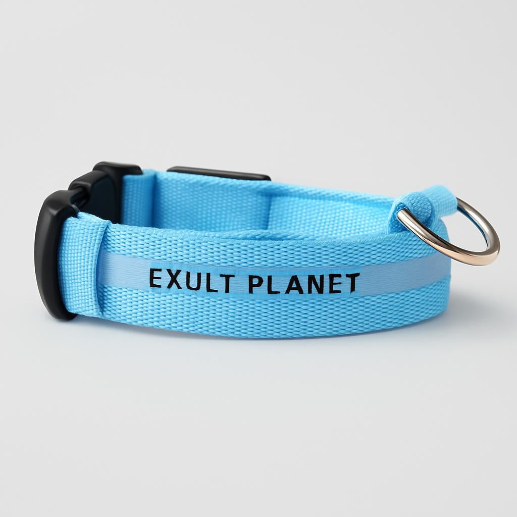 Eco-Friendly LED Safety Dog Collar - Lush Brush