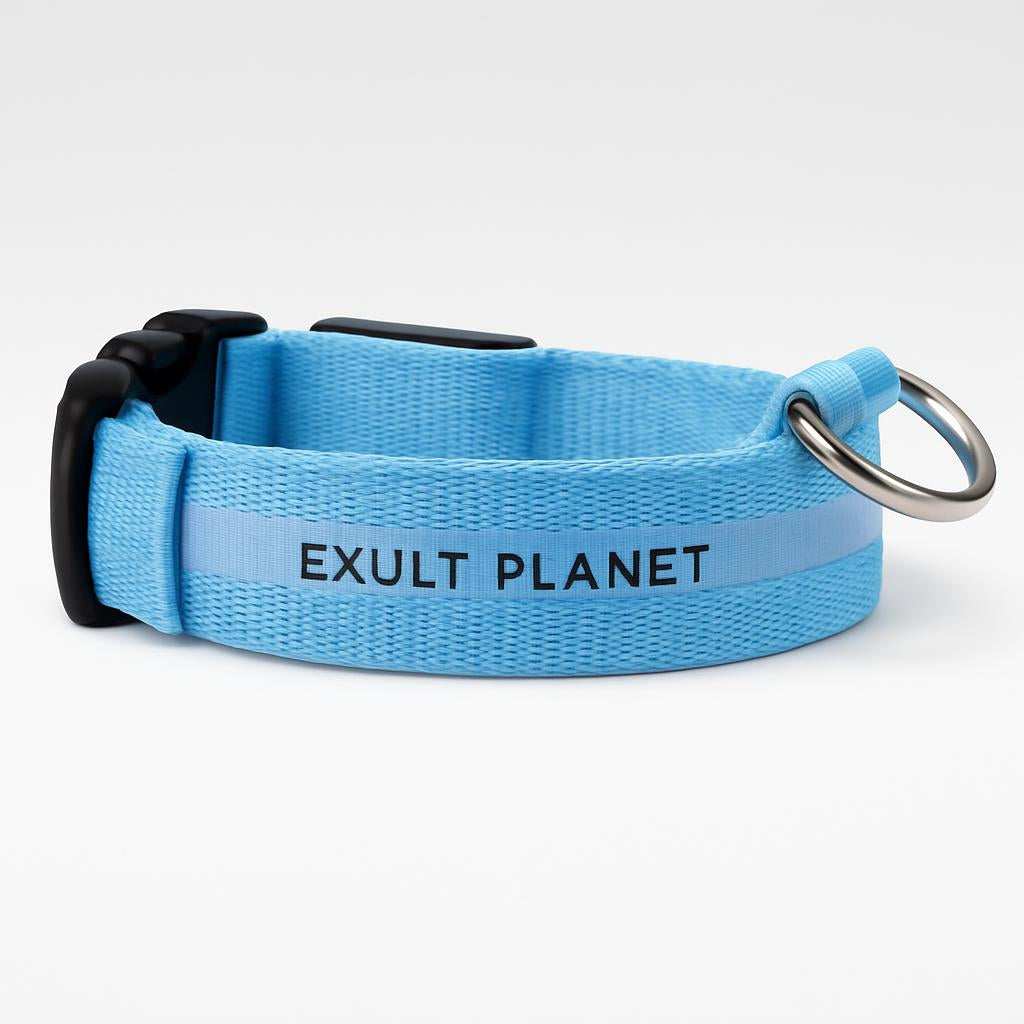 Eco-Friendly LED Safety Dog Collar - Lush Brush