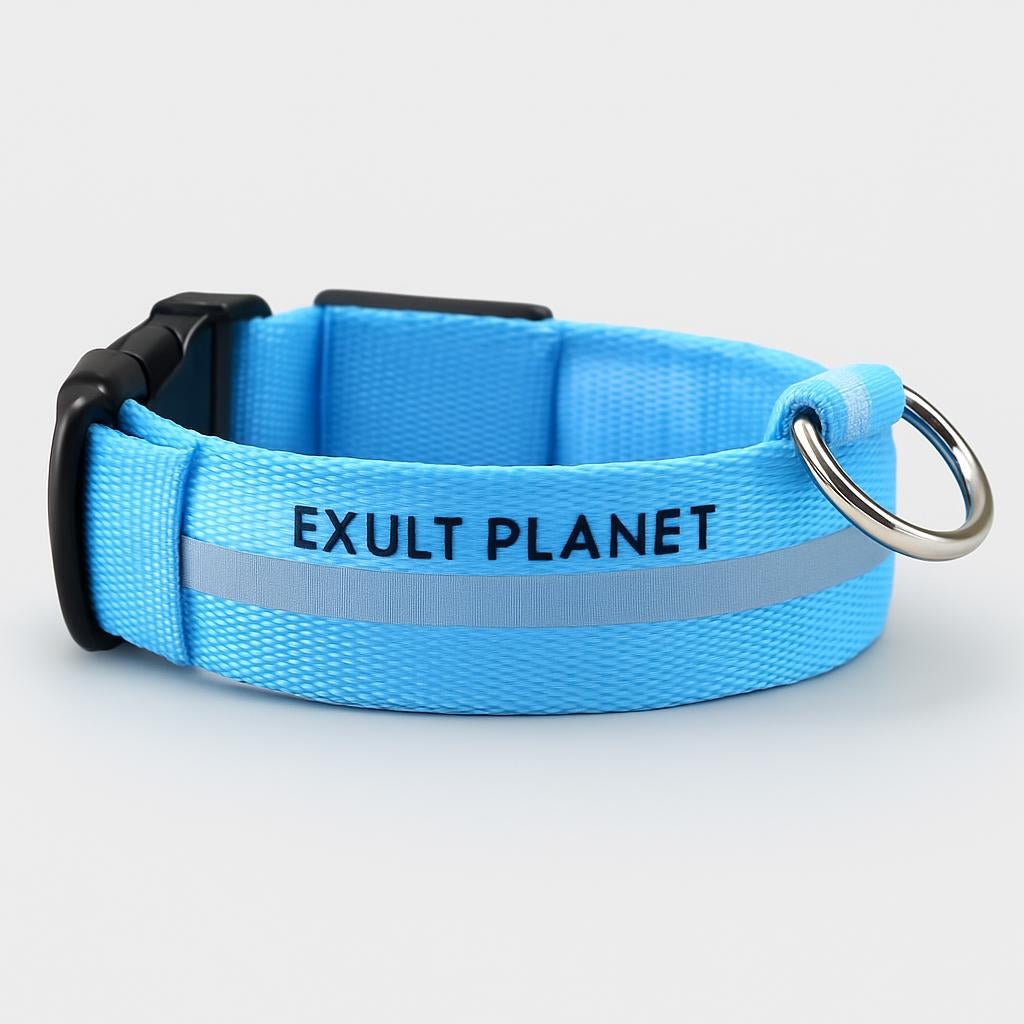 Eco-Friendly LED Safety Dog Collar - Lush Brush