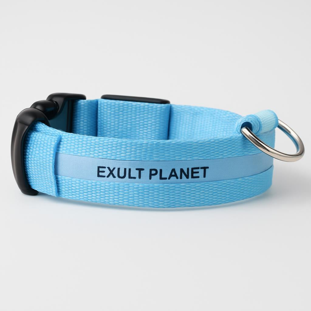 Eco-Friendly LED Safety Dog Collar - Lush Brush