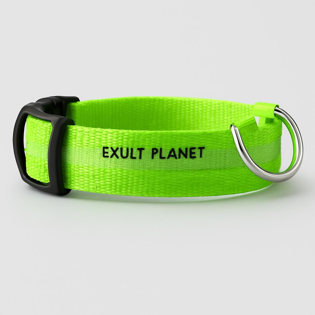 Eco-Friendly LED Safety Dog Collar - Lush Brush