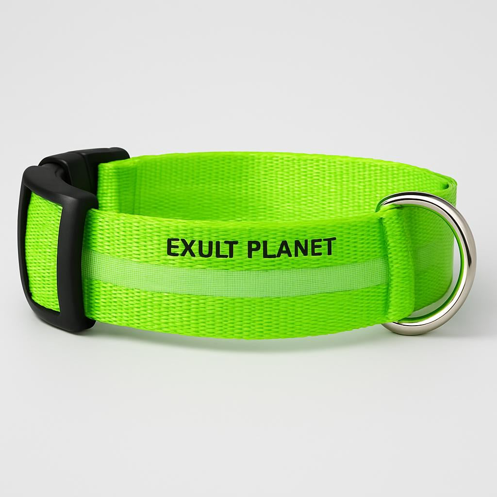 Eco-Friendly LED Safety Dog Collar - Lush Brush