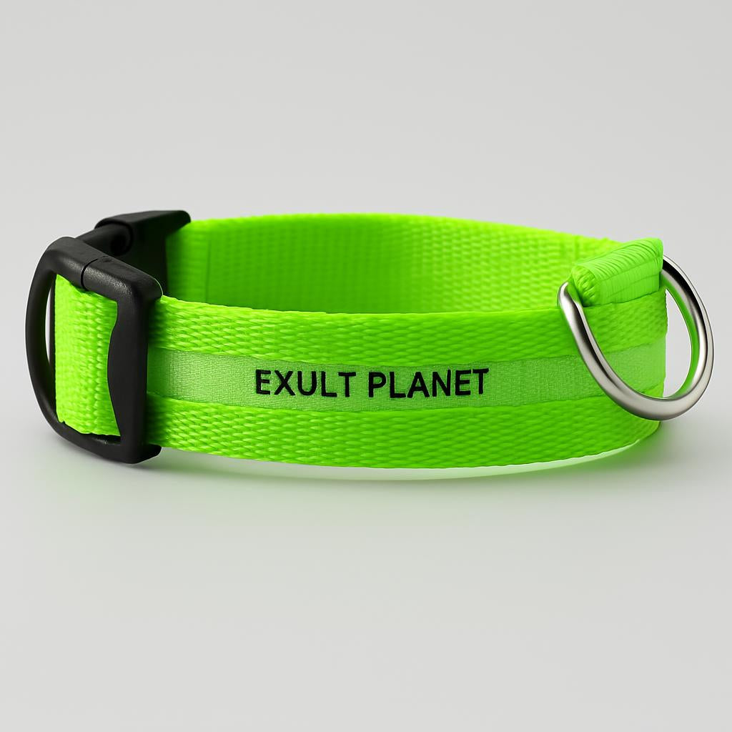 Eco-Friendly LED Safety Dog Collar - Lush Brush