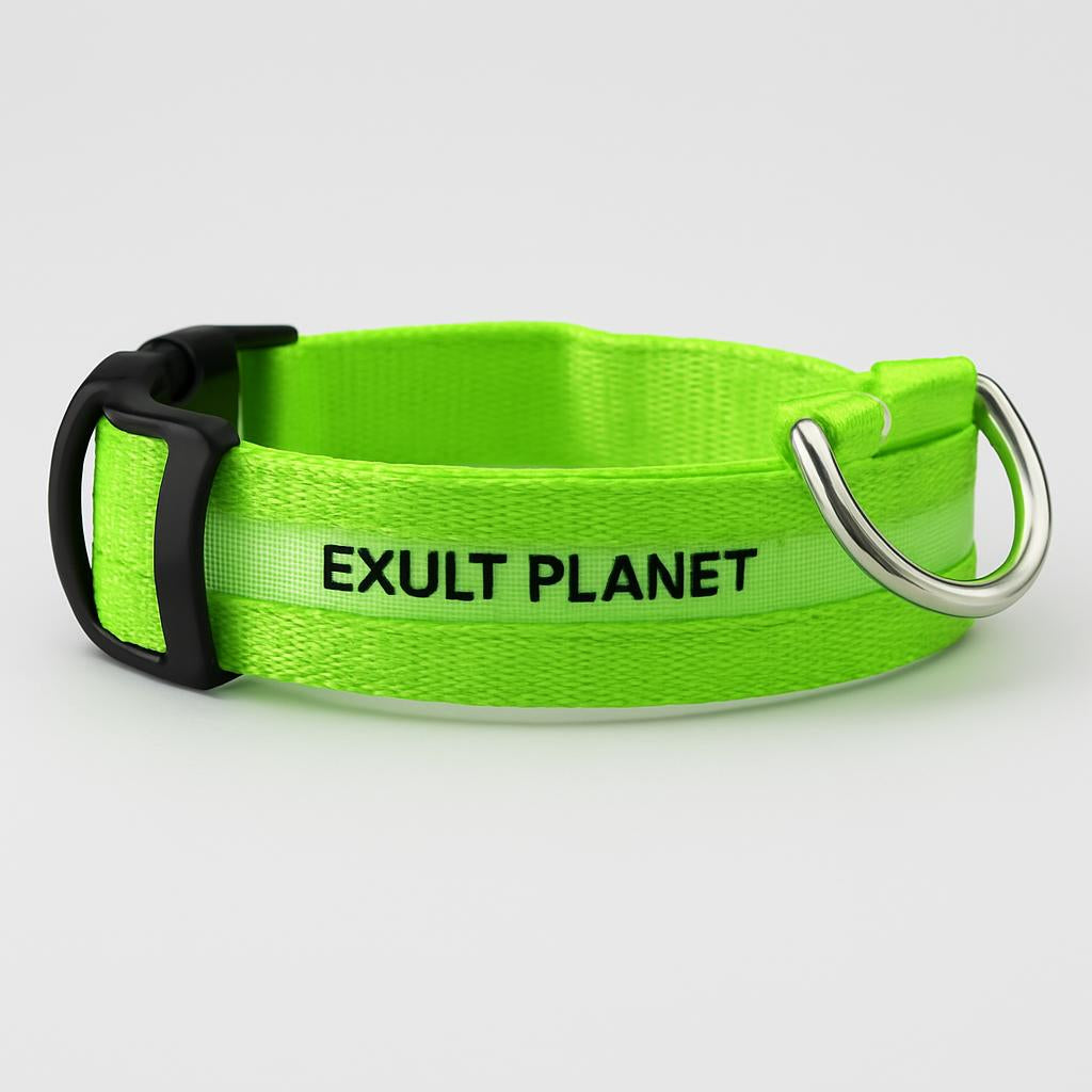 Eco-Friendly LED Safety Dog Collar - Lush Brush