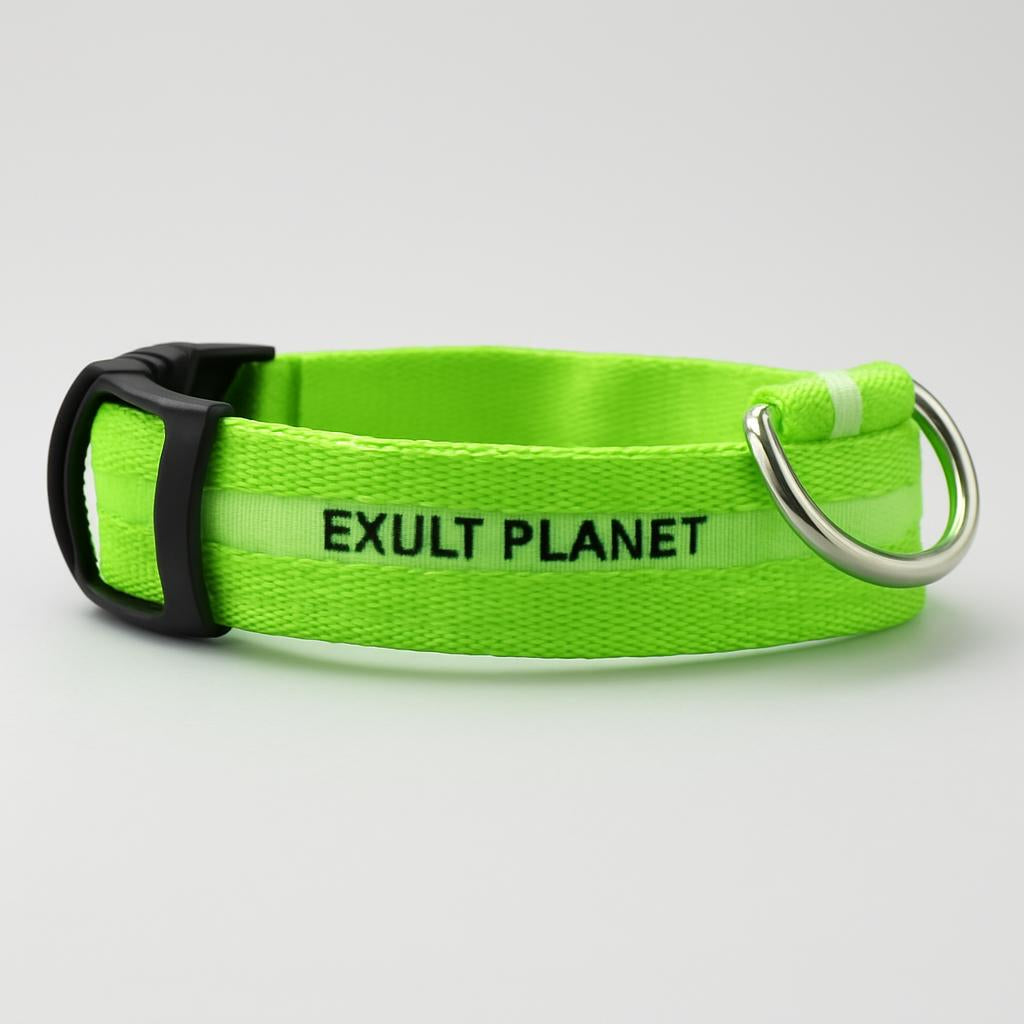 Eco-Friendly LED Safety Dog Collar - Lush Brush