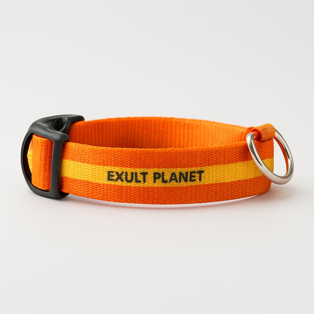 Eco-Friendly LED Safety Dog Collar - Lush Brush