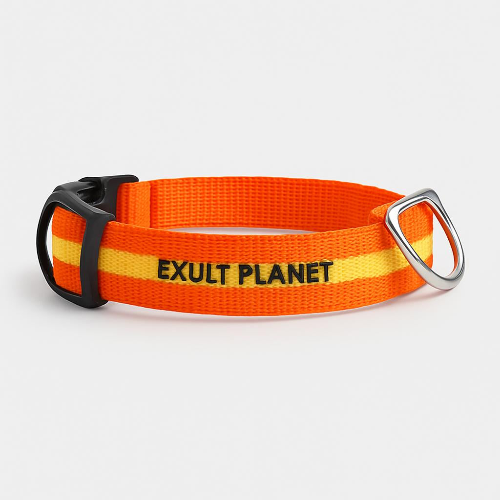 Eco-Friendly LED Safety Dog Collar - Lush Brush