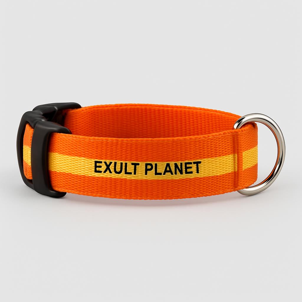 Eco-Friendly LED Safety Dog Collar - Lush Brush