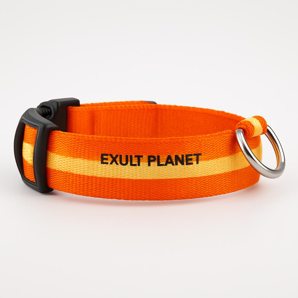 Eco-Friendly LED Safety Dog Collar - Lush Brush