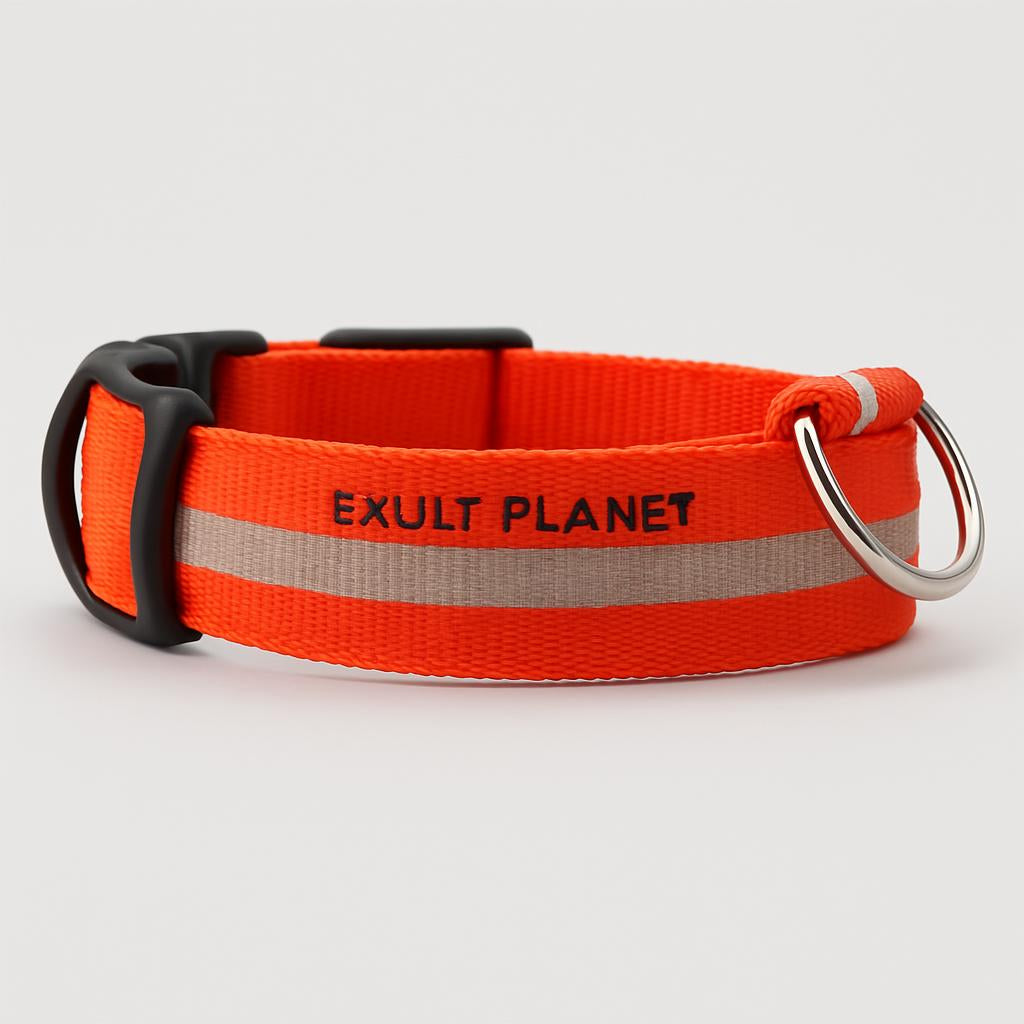 Eco-Friendly LED Safety Dog Collar - Lush Brush