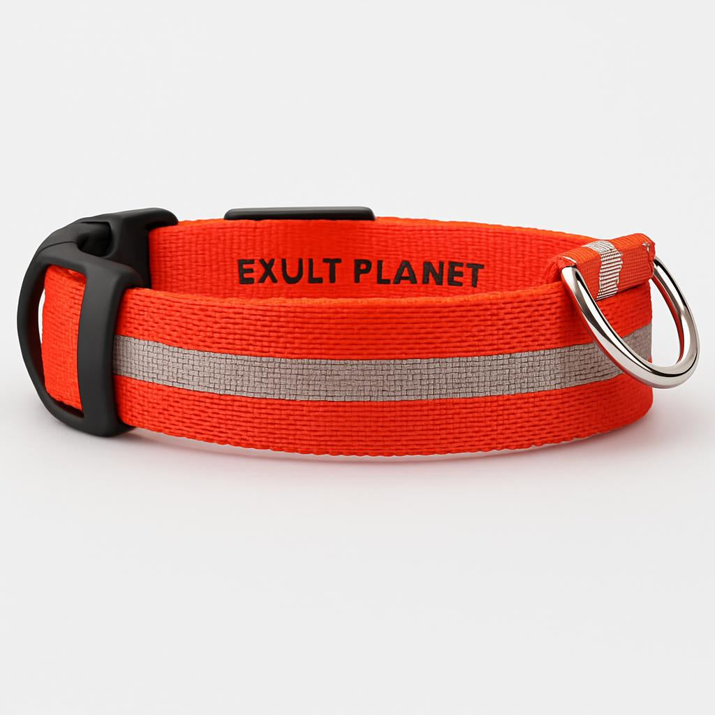 Eco-Friendly LED Safety Dog Collar - Lush Brush