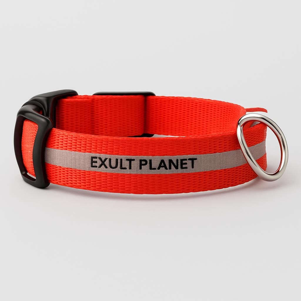 Eco-Friendly LED Safety Dog Collar - Lush Brush