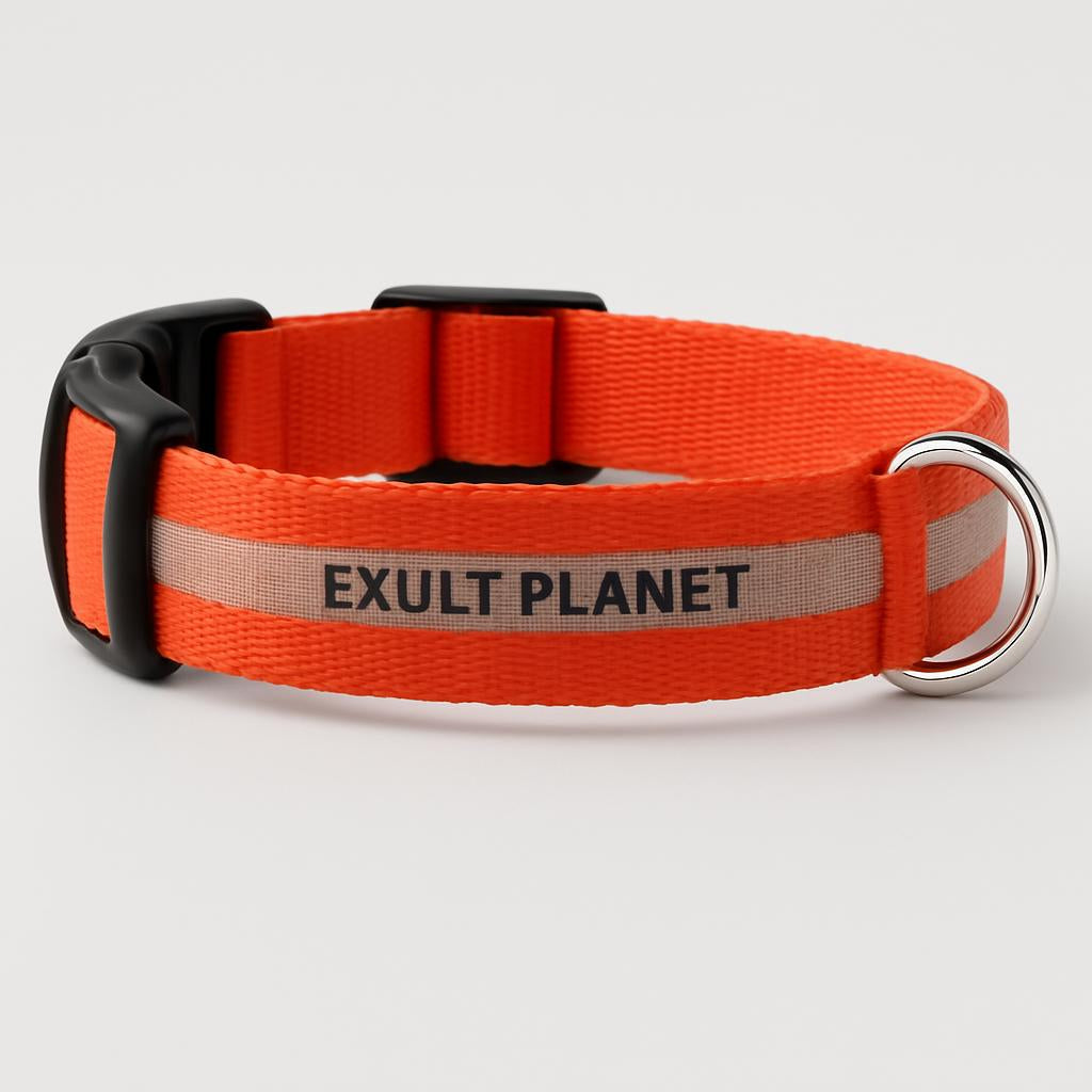 Eco-Friendly LED Safety Dog Collar - Lush Brush
