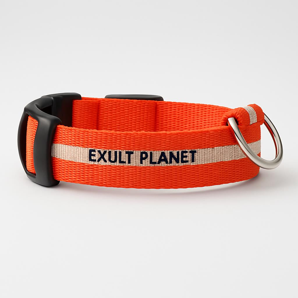 Eco-Friendly LED Safety Dog Collar - Lush Brush