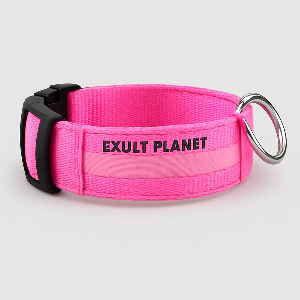 Eco-Friendly LED Safety Dog Collar - Lush Brush