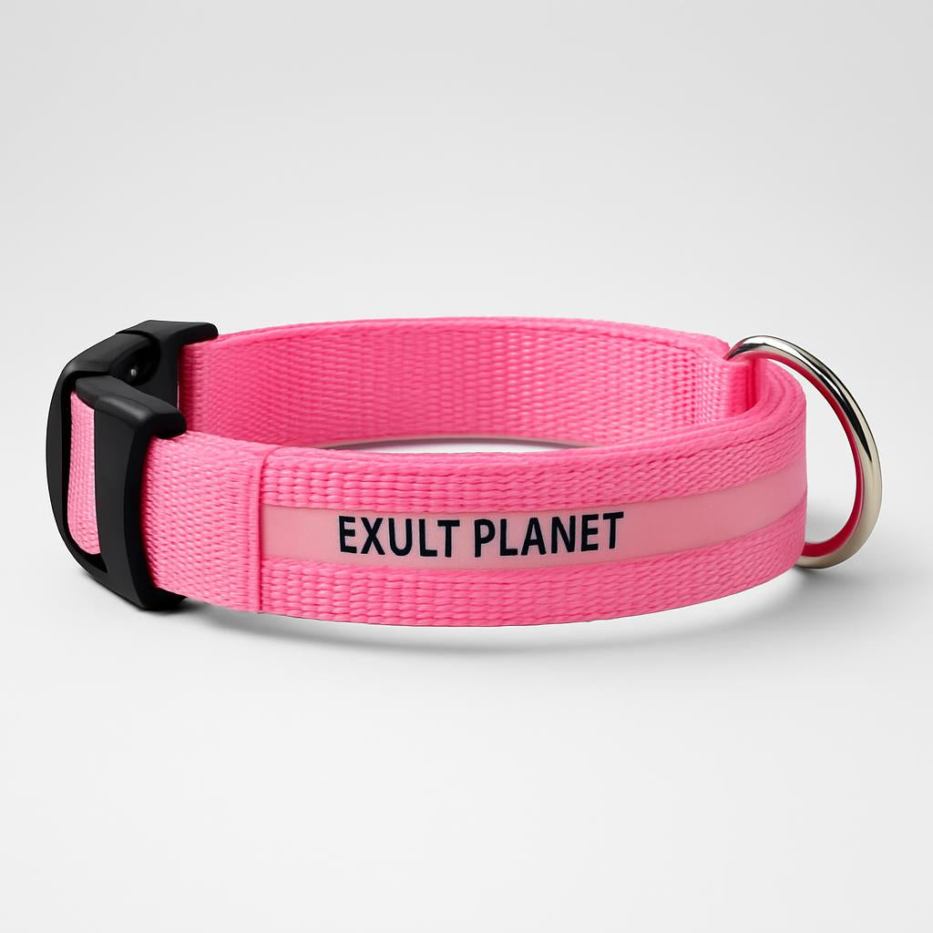 Eco-Friendly LED Safety Dog Collar - Lush Brush