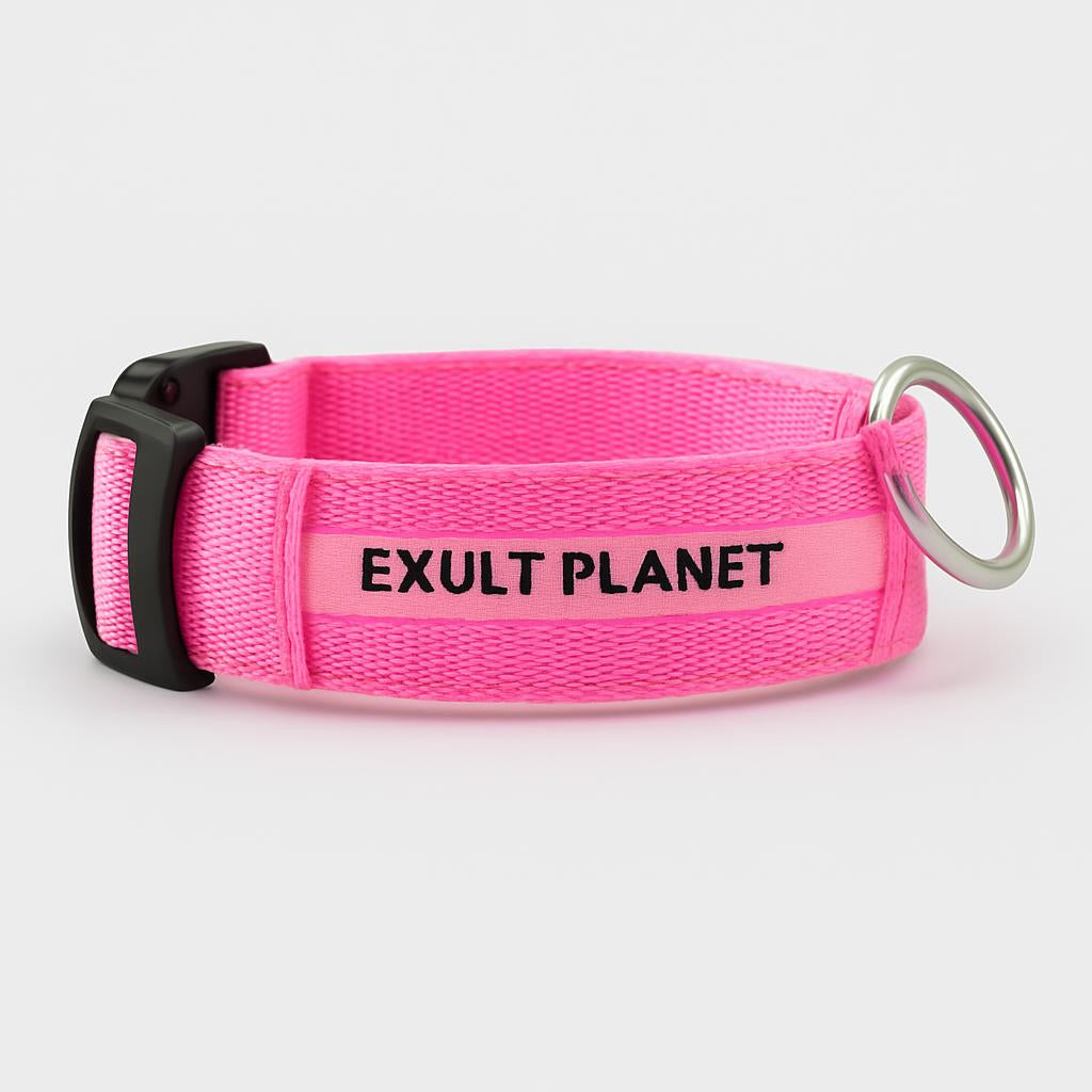 Eco-Friendly LED Safety Dog Collar - Lush Brush