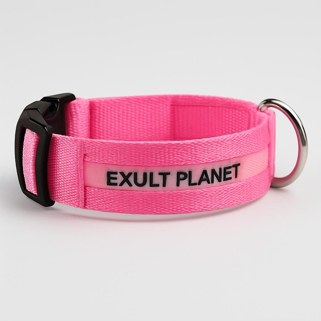 Eco-Friendly LED Safety Dog Collar - Lush Brush