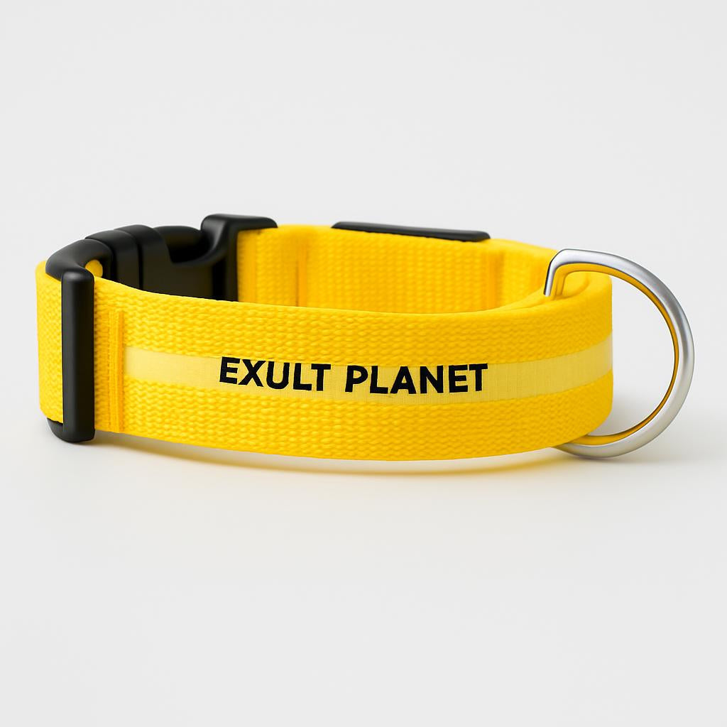 Eco-Friendly LED Safety Dog Collar - Lush Brush