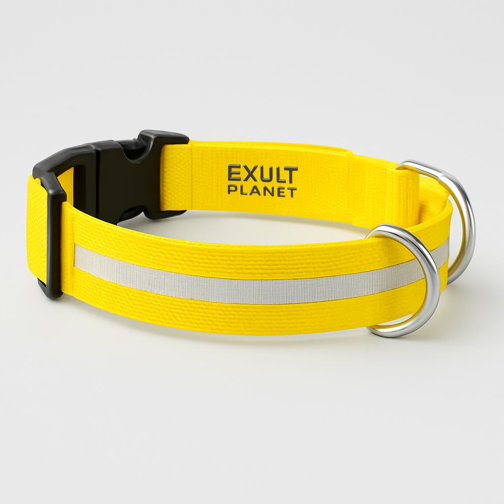 Eco-Friendly LED Safety Dog Collar - Lush Brush