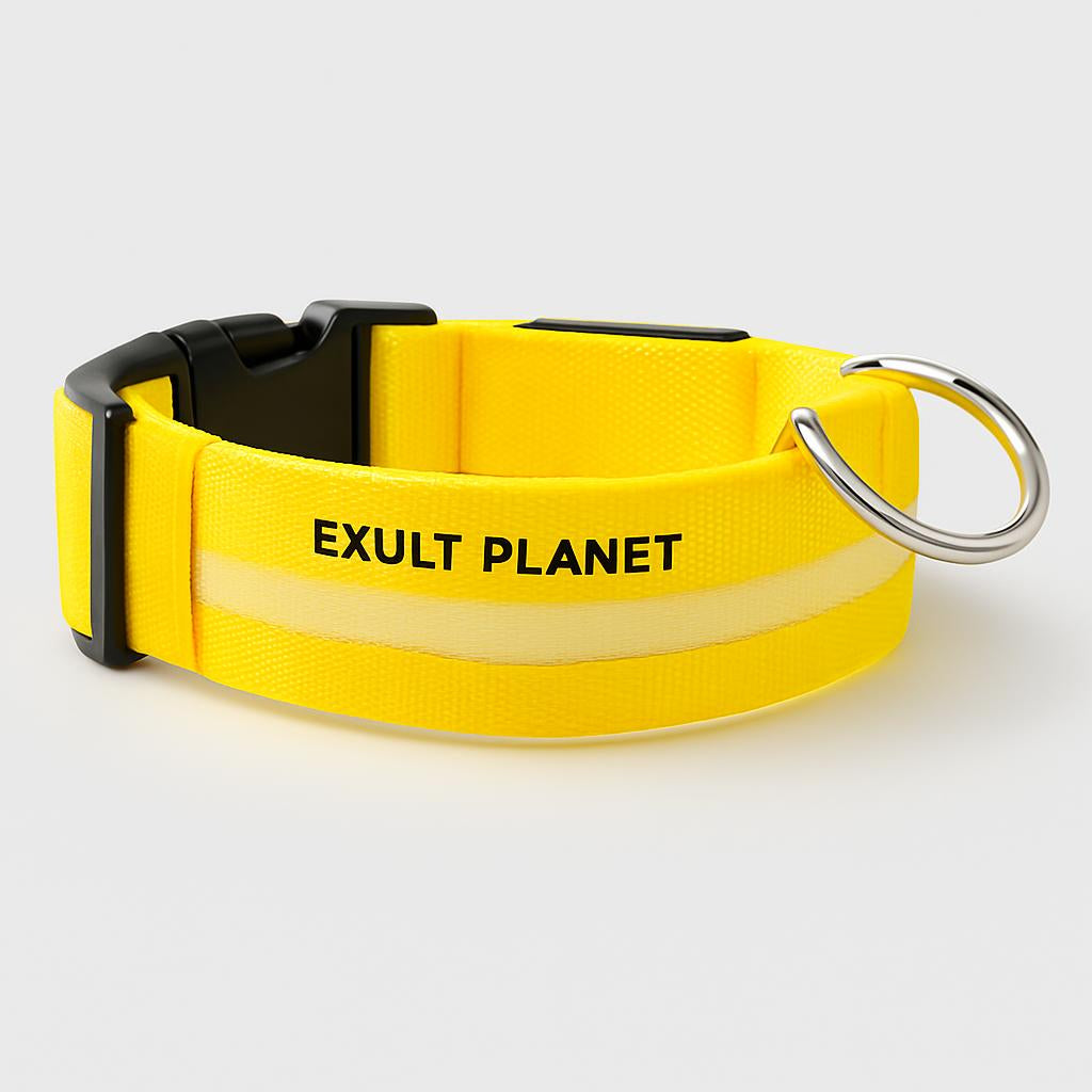Eco-Friendly LED Safety Dog Collar - Lush Brush