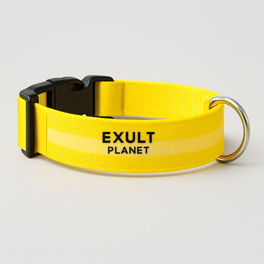 Eco-Friendly LED Safety Dog Collar - Lush Brush