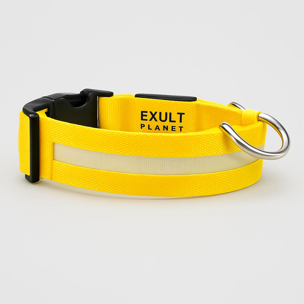 Eco-Friendly LED Safety Dog Collar - Lush Brush