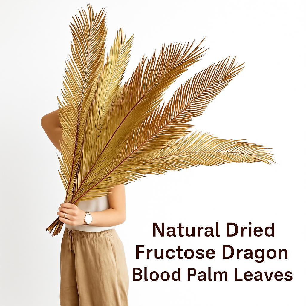 Natural Dried Fructose Dragon Blood Palm Fan Leaves for Boho Wedding & Home Décor
