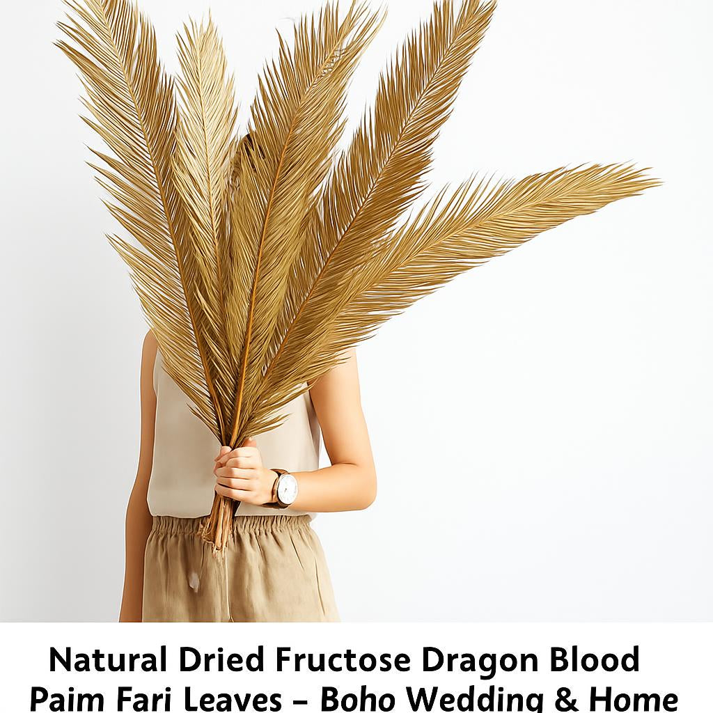 Natural Dried Fructose Dragon Blood Palm Fan Leaves – Boho Wedding & Home Décor