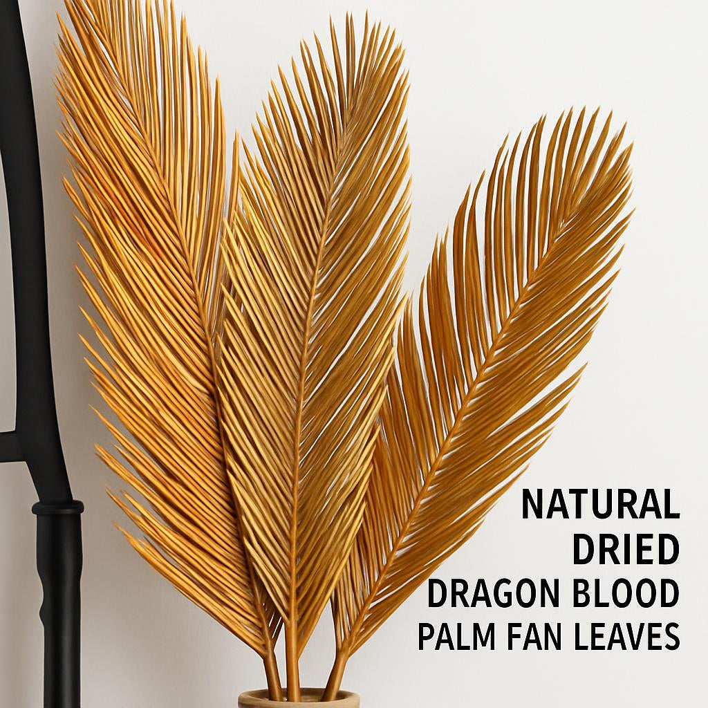 Natural Dried Fructose Dragon Blood Palm Fan Leaves – Boho Wedding & Home Décor