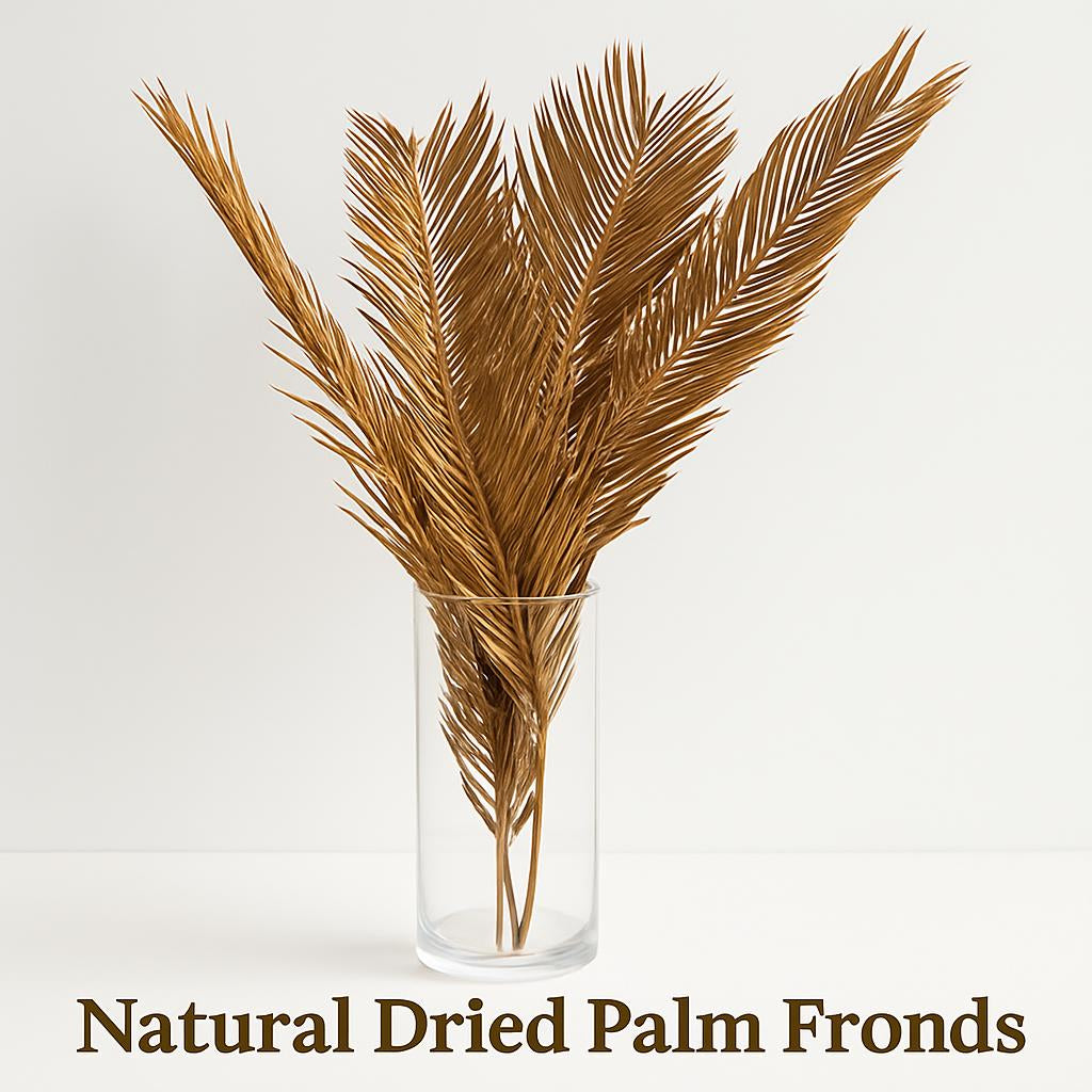 Natural Dried Fructose Dragon Blood Palm Fan Leaves – Boho Wedding & Home Décor